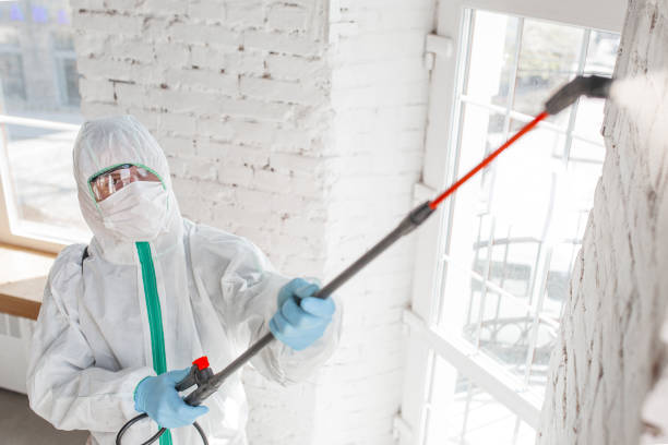 Best Mold Odor Removal Services  in Ardmore, PA